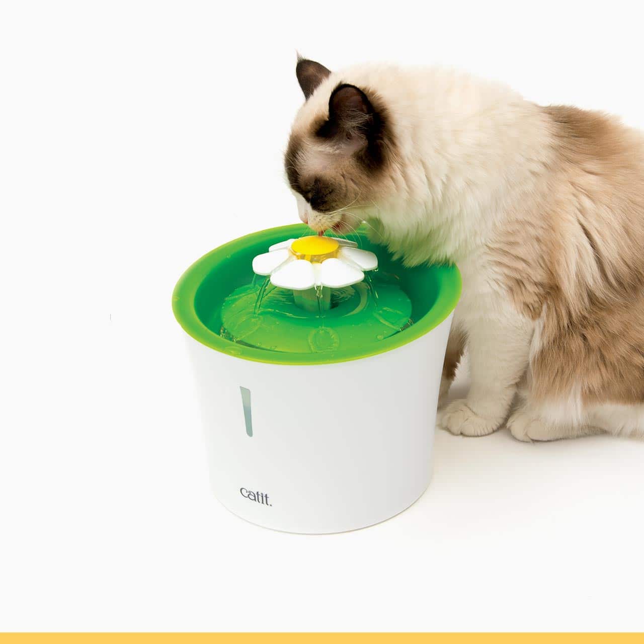 Green Catit Flower Fountain with a white and yellow flower-shaped top and a cat drinking from the stream