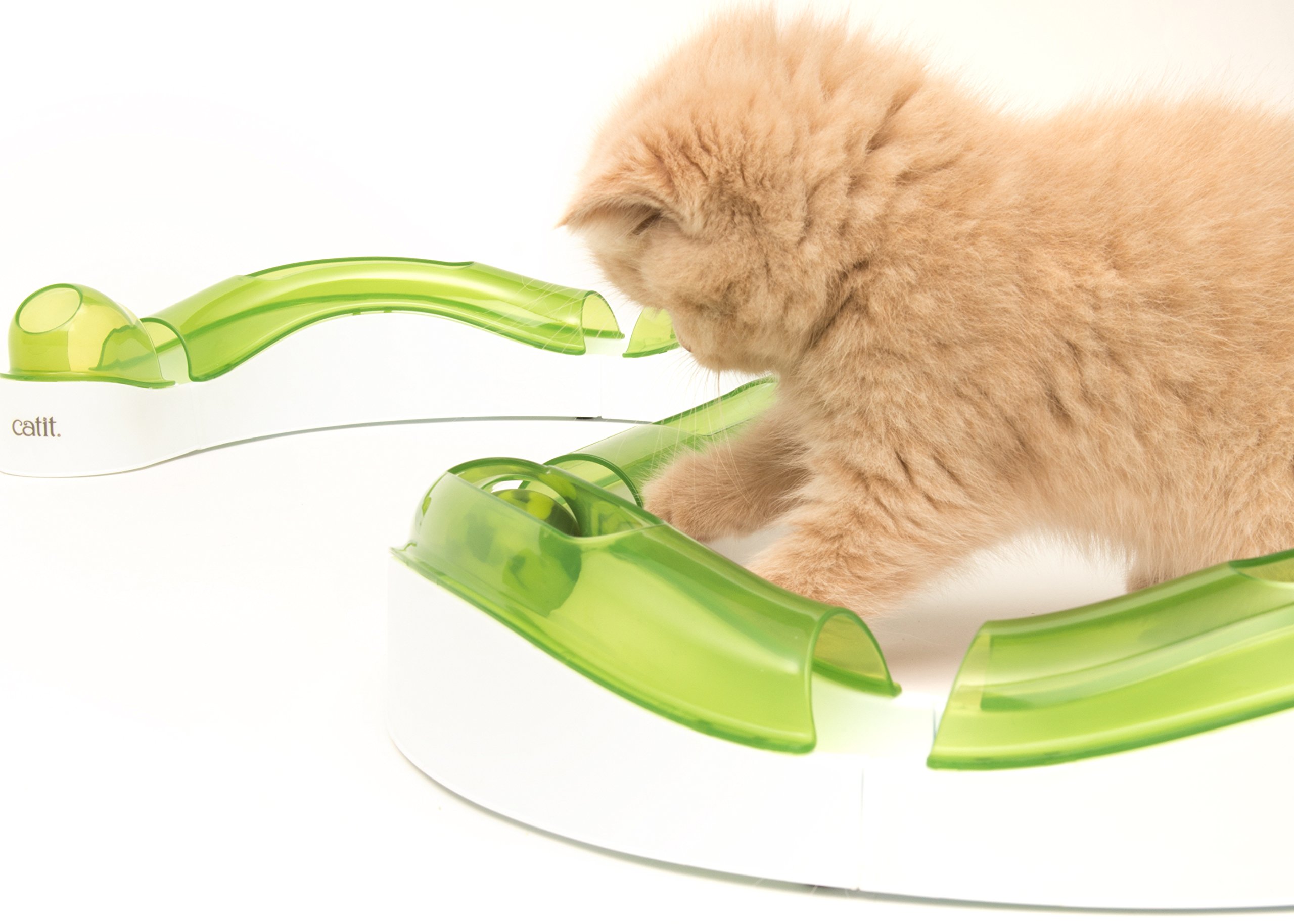 A ginger kitten leaning over a green and white Catit Senses circuit track with both front paws on the tubing, on a white studio background